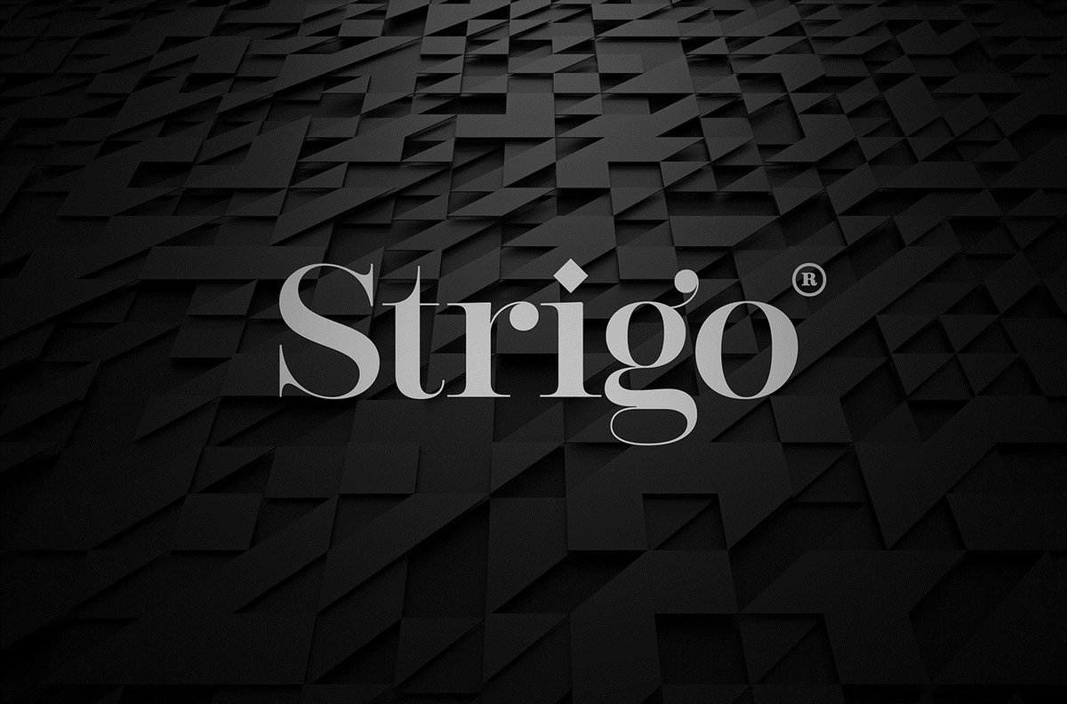 Strigo服裝企業品牌設計