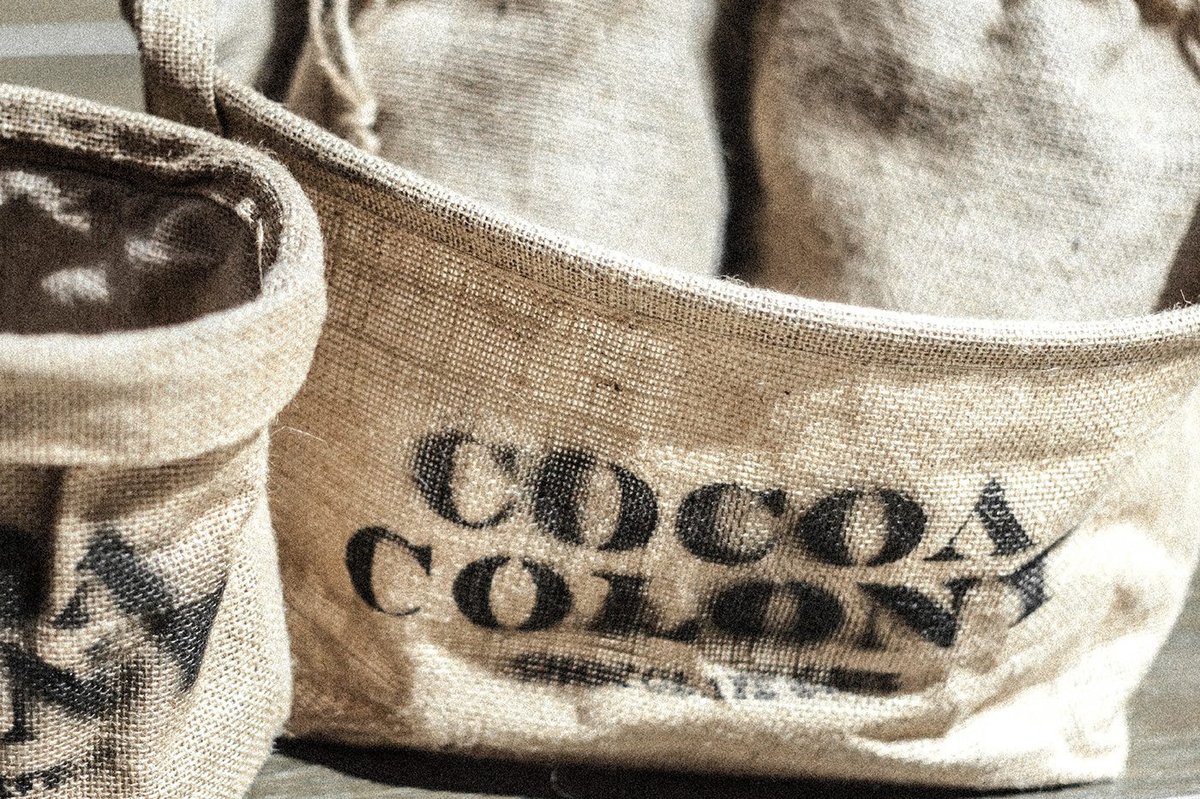 Cocoa Colony食品品牌設計案例