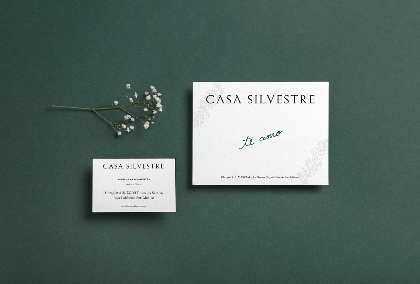 Casa Silvestre浪漫花店品牌logo設(shè)計(jì)與VI視覺設(shè)計(jì)，酒店VI設(shè)計(jì)，品牌視覺設(shè)計(jì)，企業(yè)VI設(shè)計(jì)，深圳VI設(shè)計(jì)，左右格局