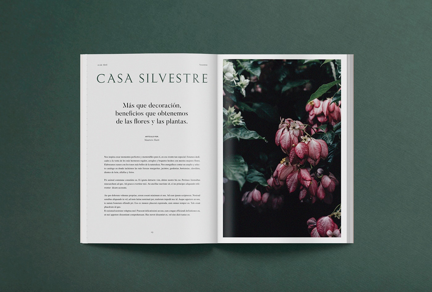 Casa Silvestre浪漫花店品牌logo設(shè)計(jì)與VI視覺設(shè)計(jì)，酒店VI設(shè)計(jì)，品牌視覺設(shè)計(jì)，企業(yè)VI設(shè)計(jì)，深圳VI設(shè)計(jì)，左右格局