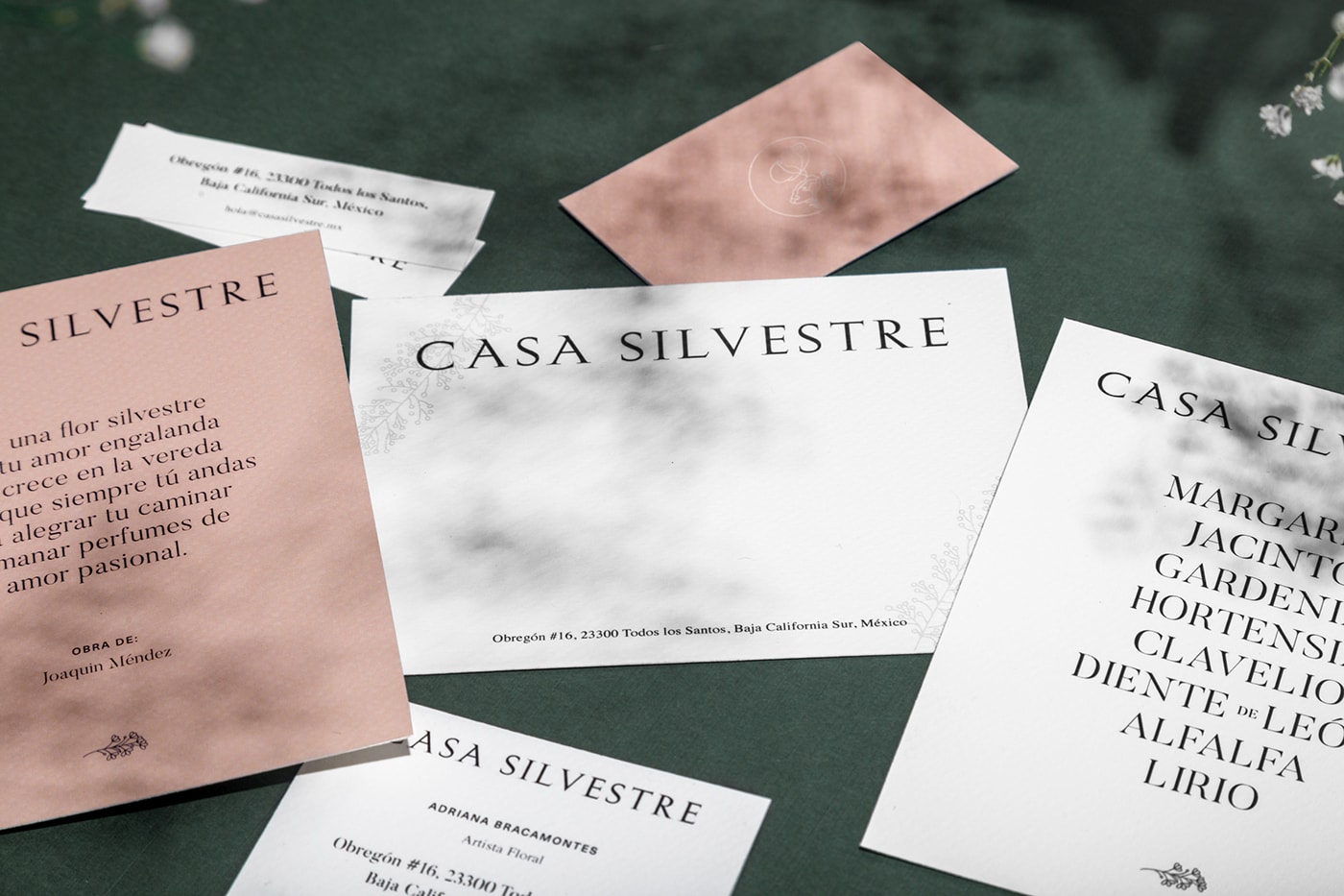 Casa Silvestre浪漫花店品牌logo設(shè)計(jì)與VI視覺設(shè)計(jì)，酒店VI設(shè)計(jì)，品牌視覺設(shè)計(jì)，企業(yè)VI設(shè)計(jì)，深圳VI設(shè)計(jì)，左右格局