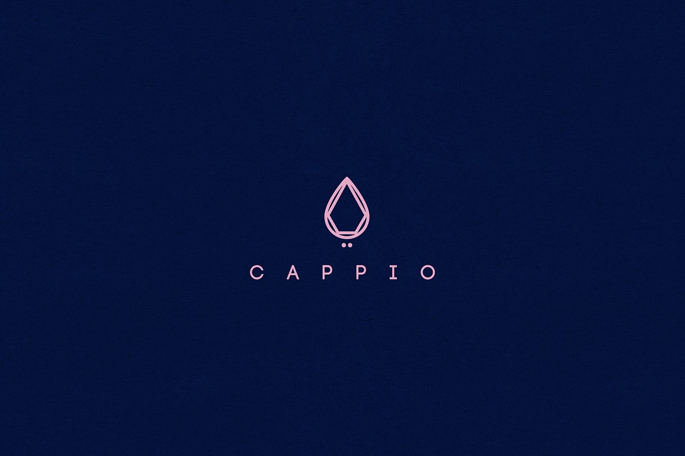 Cappio 服裝珠寶企業品牌全案策劃案例，服裝VI設計，品牌全案策劃，企業形象設計，深圳VI設計，左右格局